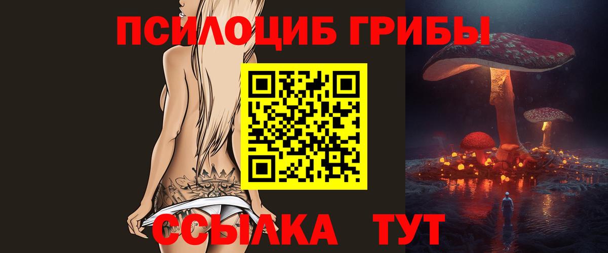 Галлюциногенные грибы прущие грибы  как найти закладки  Галлюциногенные грибы мицелий  Новый Уренгой  Вход с VPN 
